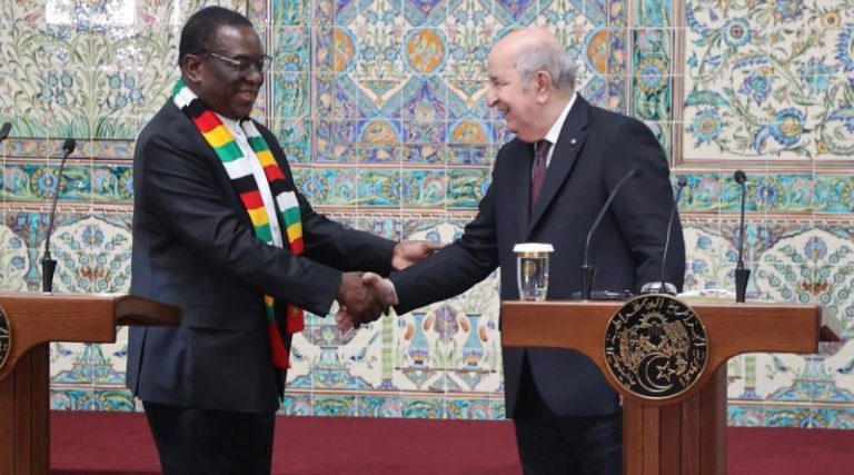 Tebboune-Zimbabwe-800x445