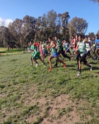 612491845_875070461832291_5159649089220143448_n