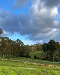 614966410_1536467944557433_2613405858863247857_n